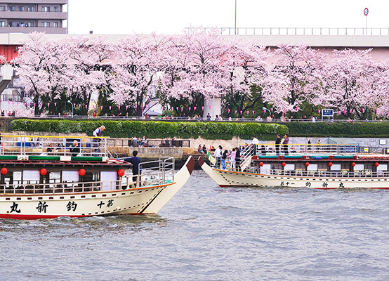 お花見