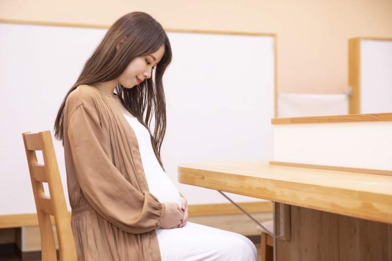 屋形船 妊婦
