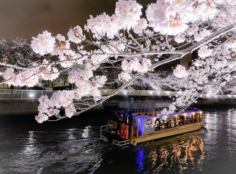 北区 屋形船 おしゃれ