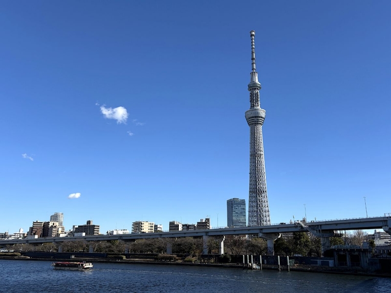 13屋形船 料金