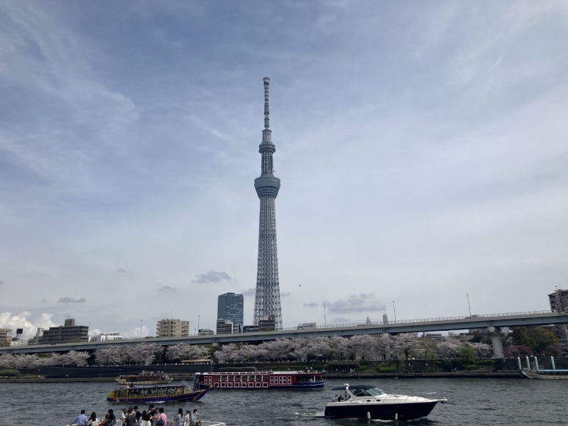 01屋形船 貸切 料金