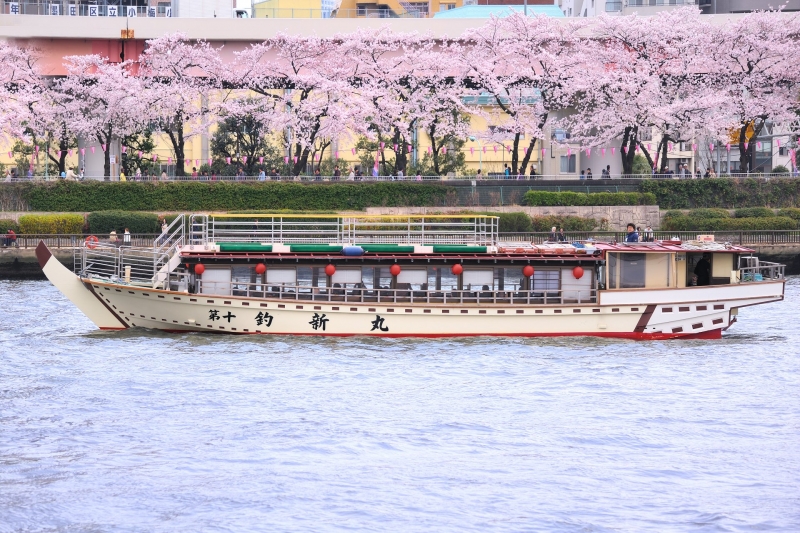 お花見昼1